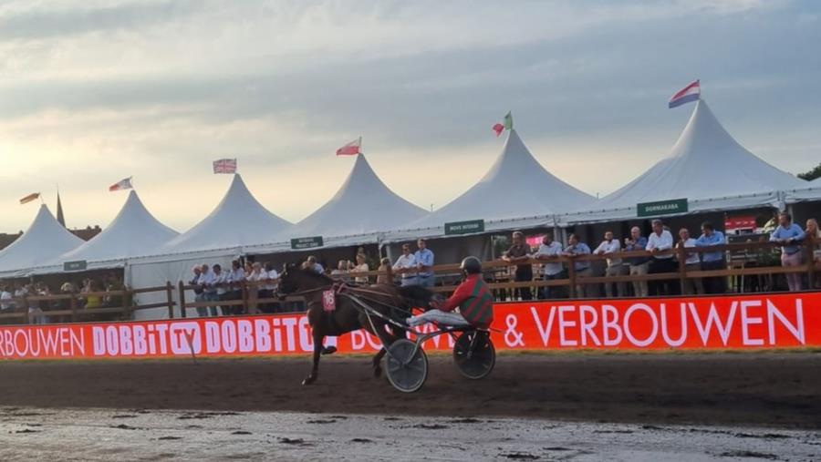 Waregem Koerse