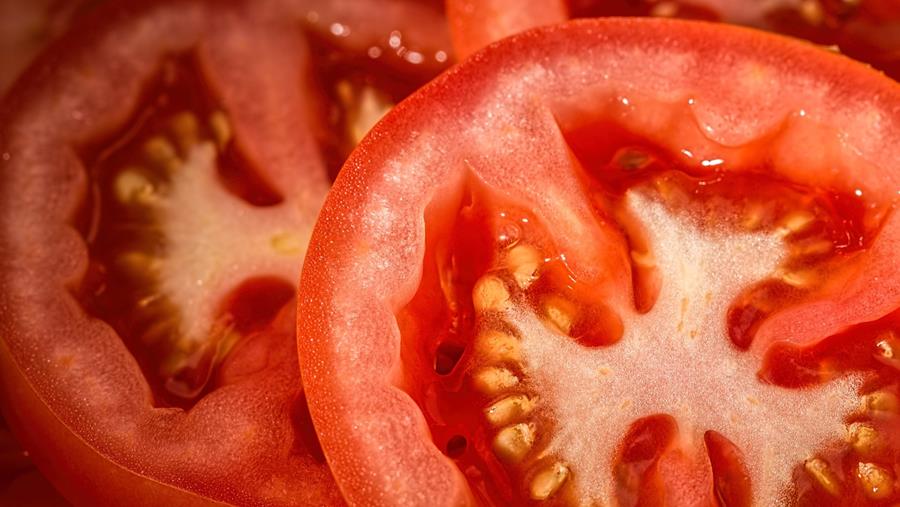 L'AFSCA partage ses recommandations sur la conservation des tomates et des oignons en tranches