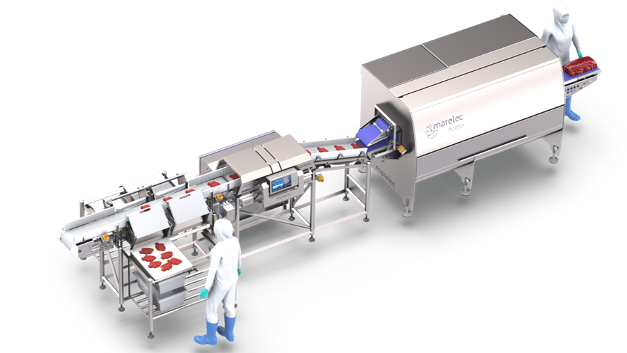 Une ligne de portionnement de haute technologie pour pallier la pénurie de bouchers