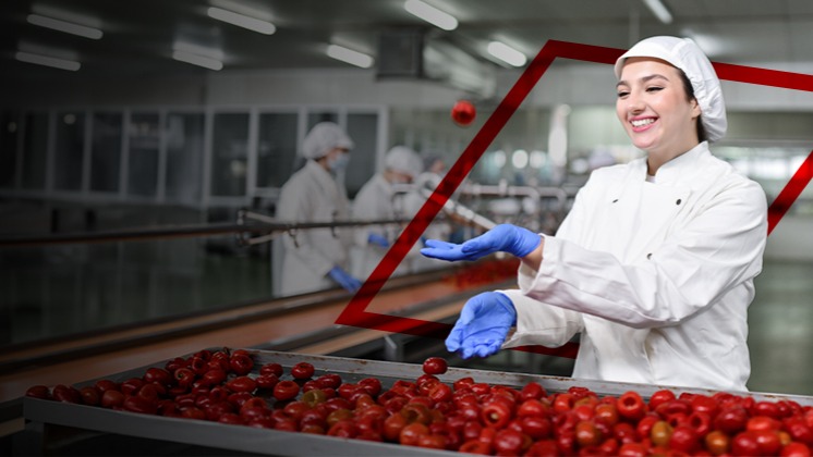 Tous les ingrédients nécessaires au bon fonctionnement de votre entreprise