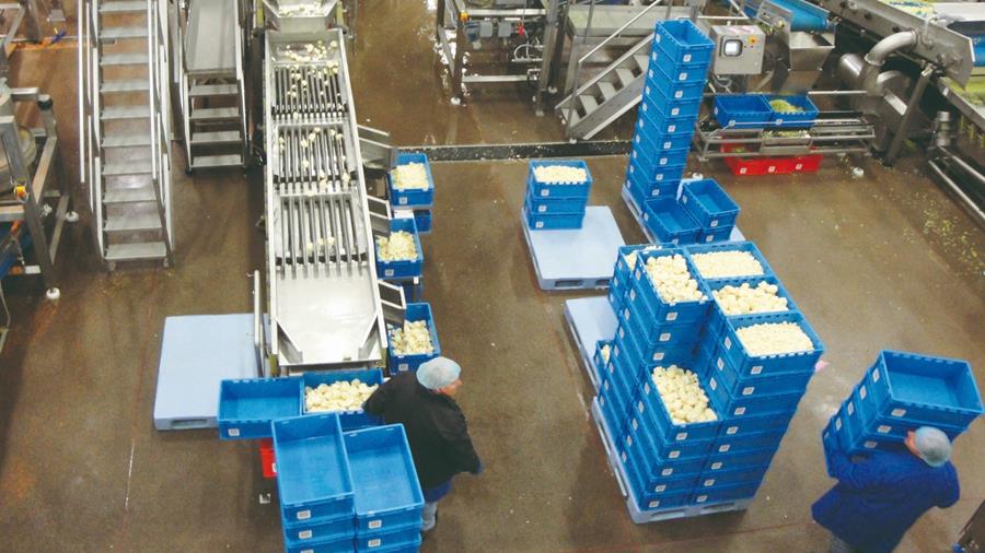 Innovatieve logistieke oplossingen voor de voedingsindustrie