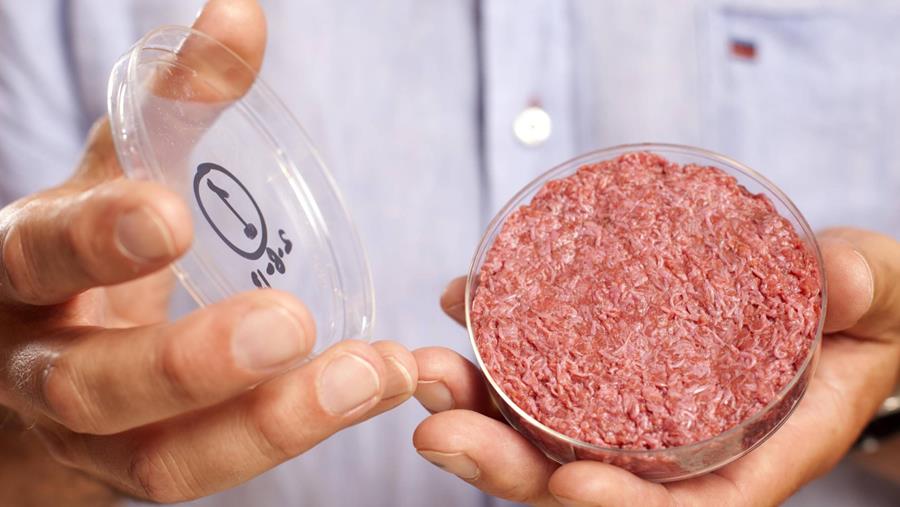 Qu'en est-il de la viande cultivée et des substituts de viande?
