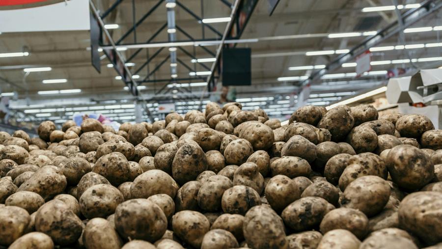 Portrait d'un succès international: la pomme de terre belge