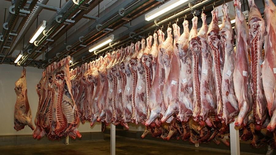 L'AFSCA ne constate aucun problème dans les abattoirs belges concernant le Corona